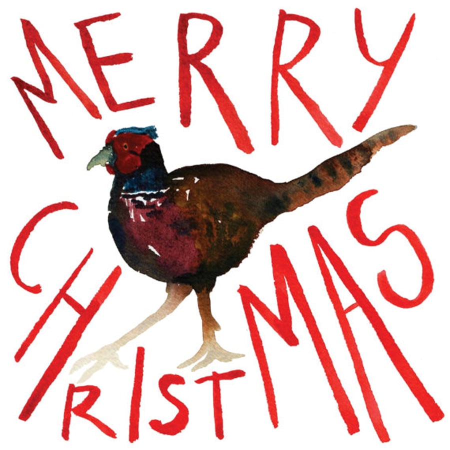 10 Pheasant Christmas cards, set of cards, watercolour, Pack of Christmas cards