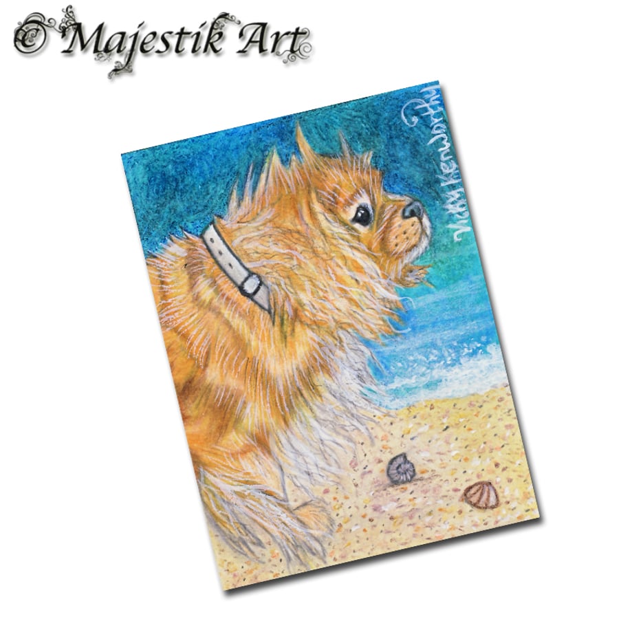 Archival ACEO King Charles Spaniel Print 'Blustery' By V Kenworthy
