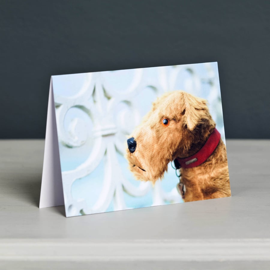 Spangles Vintage Terrier Greeting Card