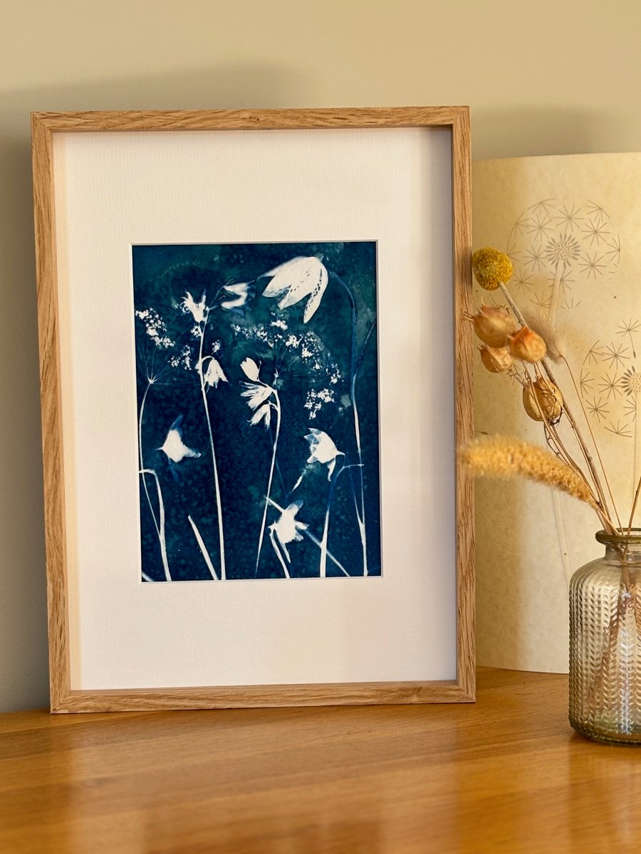 "Meadow Whispers" - Botanical Cyanotype Print - Wildflower Wall Art 