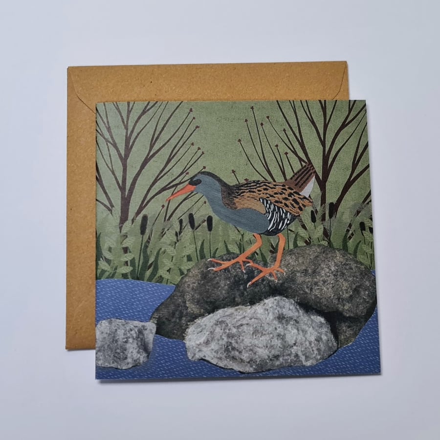Card Bird Blank Greetings Card