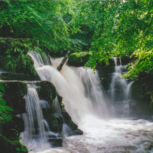 Photographic print of a waterfall in the Clydach Gorge, near Abergavenny