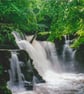 Photographic print of a waterfall in the Clydach Gorge, near Abergavenny - Image 2