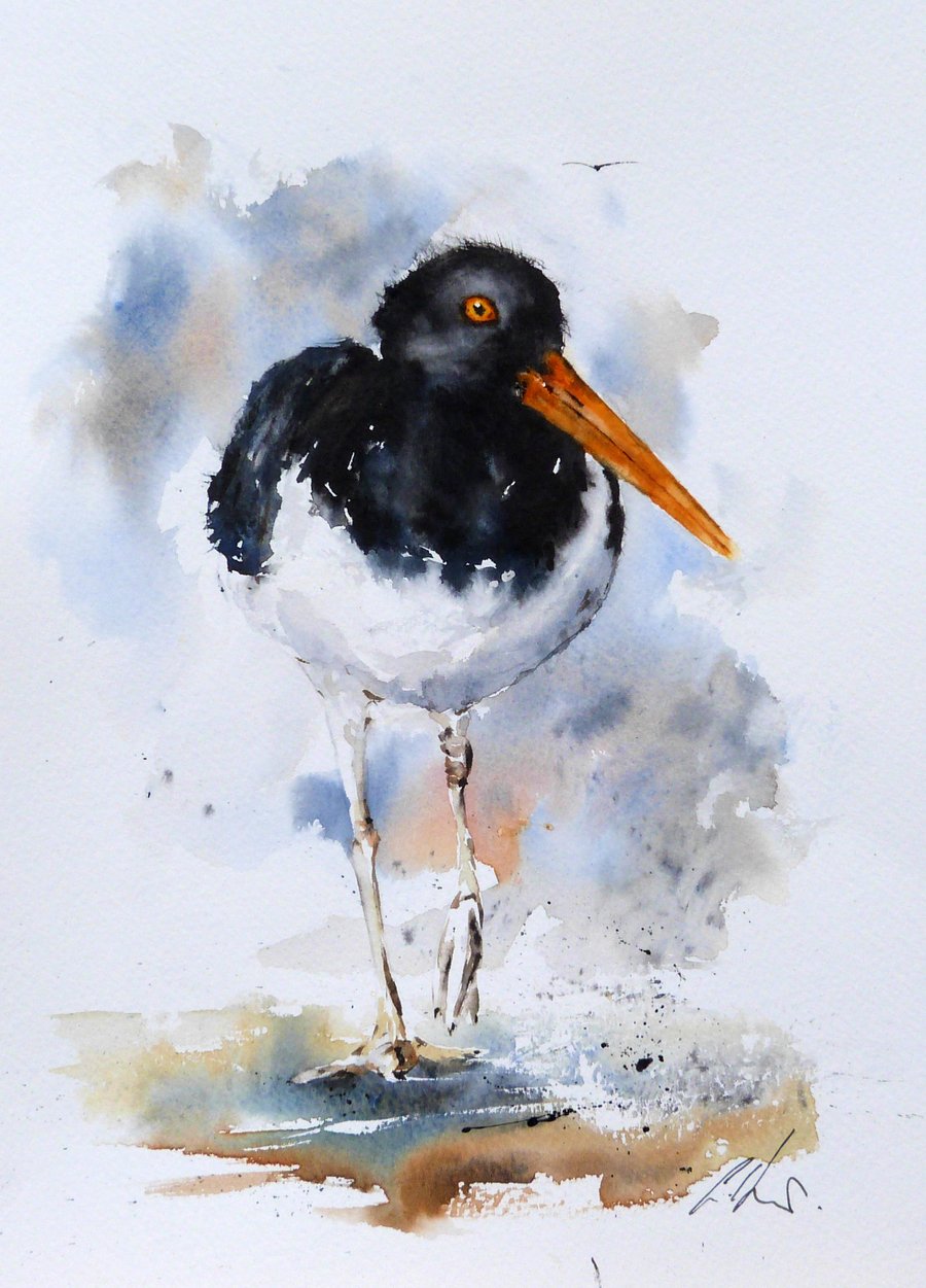 Oystercatcher, Professional Giclée Print.