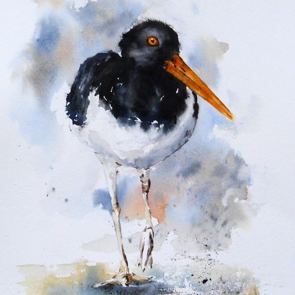 Oystercatcher, Professional Giclée Print.