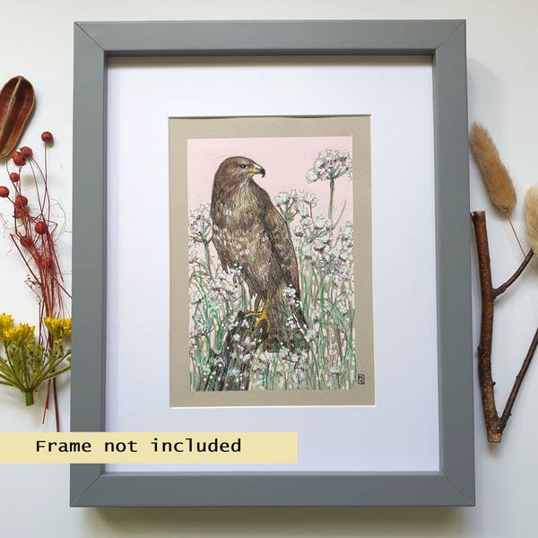Buzzard original bird art, bird drawing, wall art