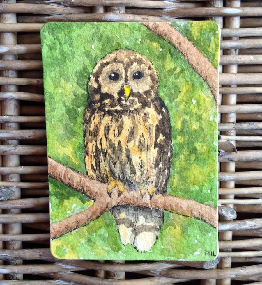 Sale ACEO original watercolour 'Owl on a branch'