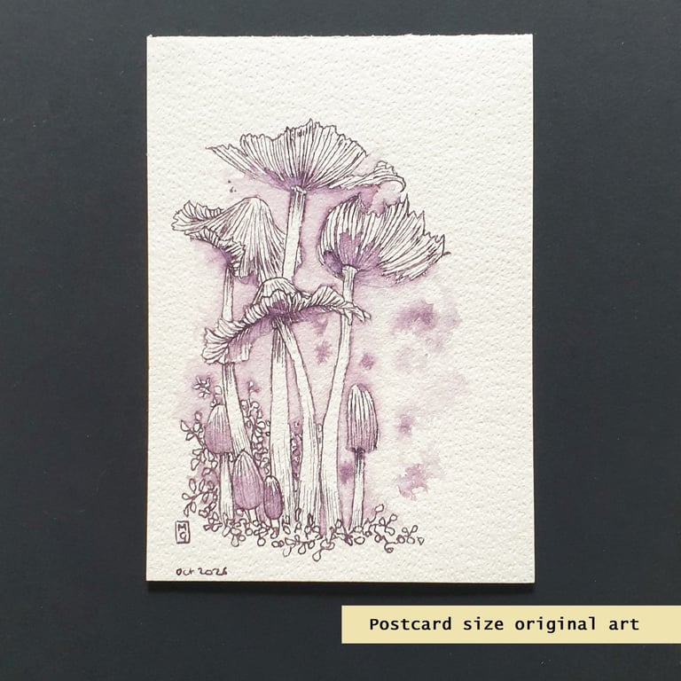 Old inkcap mushrooms, an original pen and ink drawing, letterbox art gift