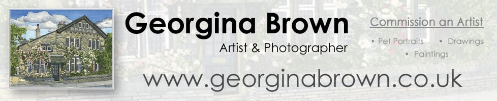 Georgina Brown - Artist & Photographer