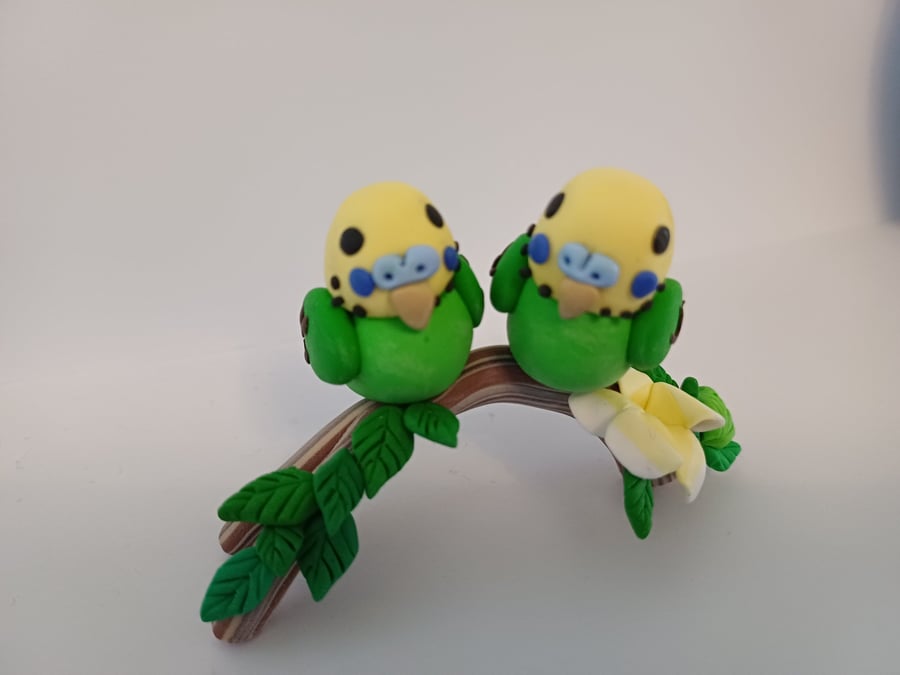 2 Green budgies on a branch