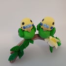 2 Green budgies on a branch