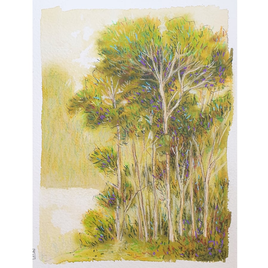 Trees at the Edge of a Lake, original landscape painting, landscape wall art