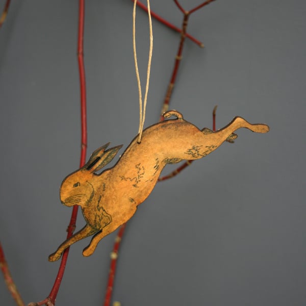 Hare hanging