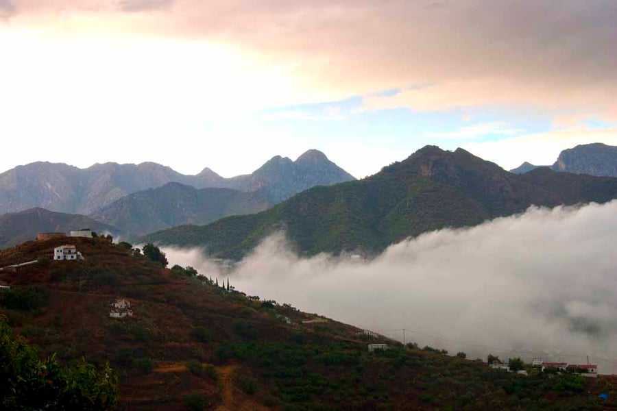 Spanish Countryside Andalusia Costa Del Sol Spain Photograph Print