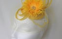 Fascinator Hats 