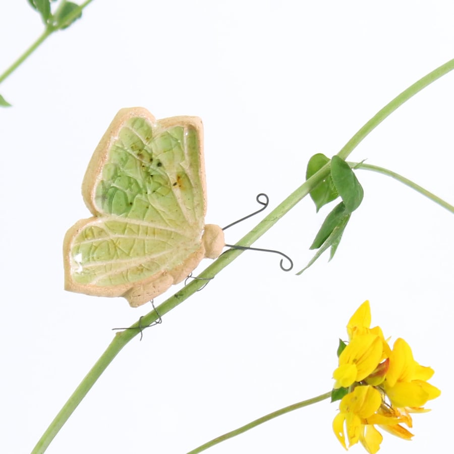 Green Butterfly Plant Decoration Gift Card Letterbox Gift
