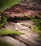 Silver ring with orbiting pebbles - Image 4
