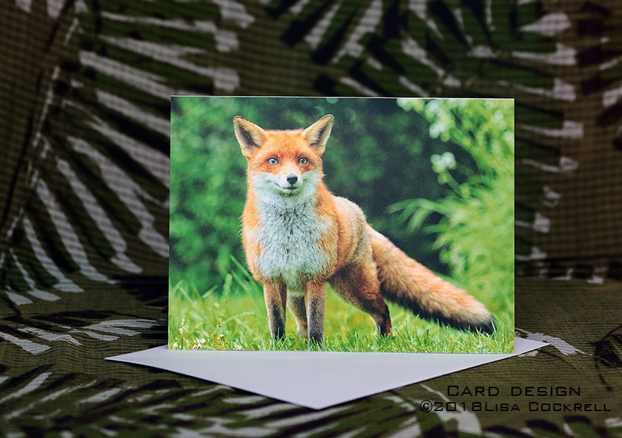 Exclusive Handmade Mr Fox Greetings Card on Archive Photo Paper