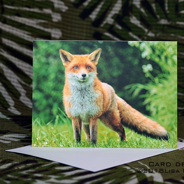 Exclusive Handmade Mr Fox Greetings Card on Archive Photo Paper