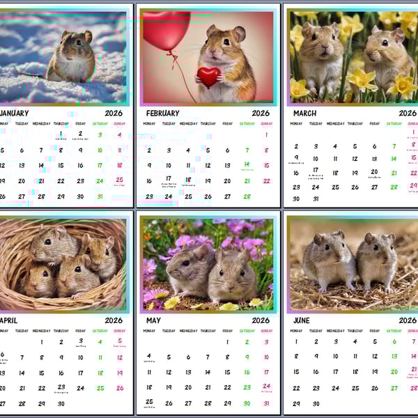 2026 A4 Calendar Gerbils Rodents Cute Pet 