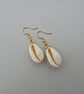 Gold plated cowrie shell earrings for pierced ears. Ref: 443 - Image 1