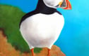 Original Bird & Animal Paintings