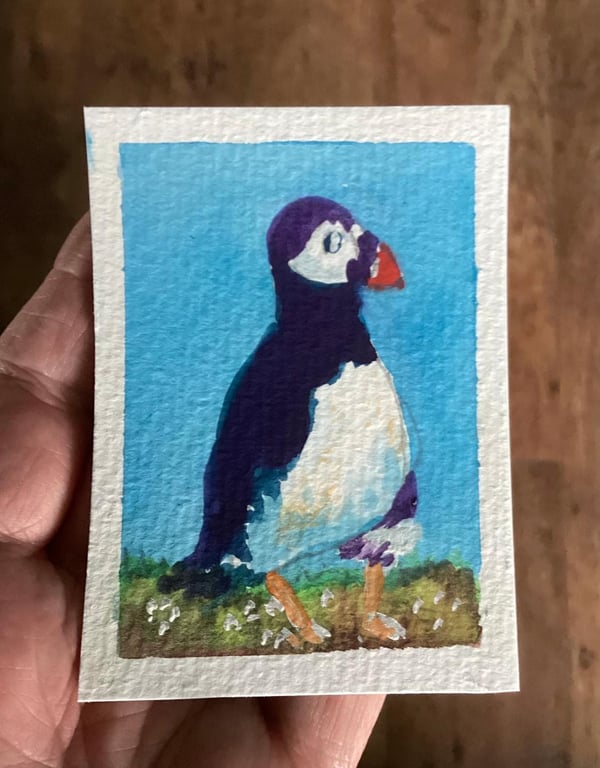 ACEO, Puffin, Original Watercolour, Size 3.5 x 2.5 inches, Miniature Art