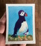 ACEO, Puffin, Original Watercolour, Size 3.5 x 2.5 inches, Miniature Art