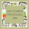 Blank Greetings Card Pack