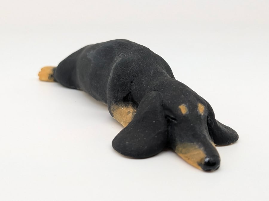 Mini Dachshund in Splat Pose