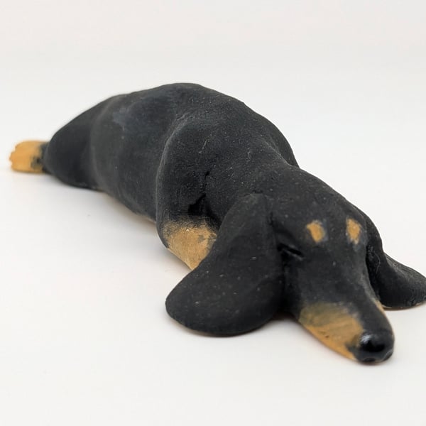 Mini Dachshund in Splat Pose