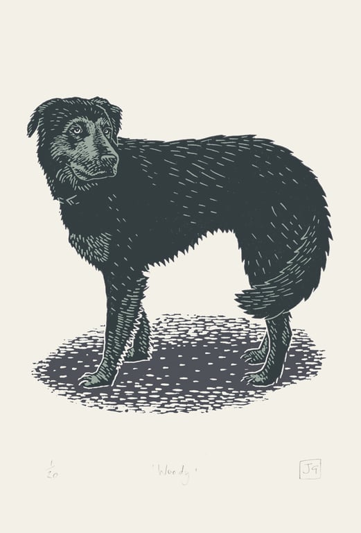 Woody two-colour linocut screen-print (dark grey and light blue) 56x38cm