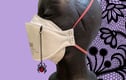 Detachable charms