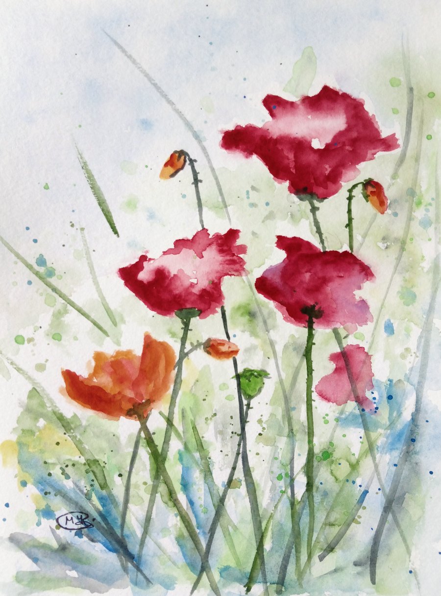 Poppies. Poppy Meadow 