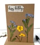 Handmade Card, Real Pressed Flower Buttercup, forget-me-not, Birthday Card - Image 4