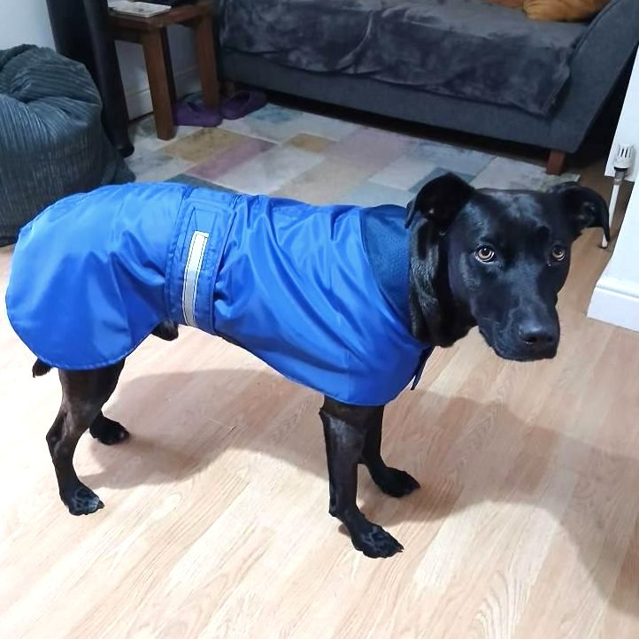 Dog coat, raincoat with airtex lining,sizes 14" puppy to 28" large breed