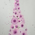 Original watercolour painting - pink Delphinium