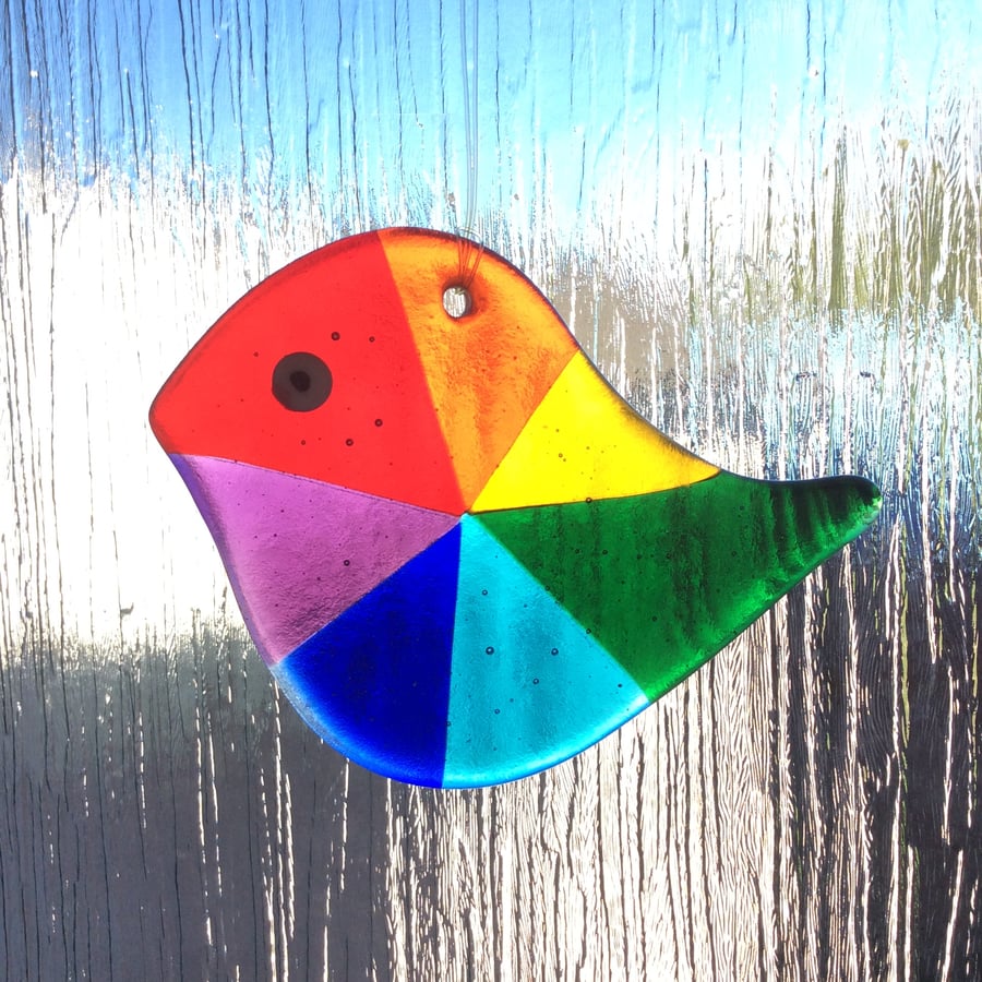Rainbow bird  (0491)