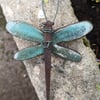 Small Dragonfly 