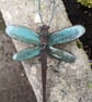 Small Dragonfly  - Image 1