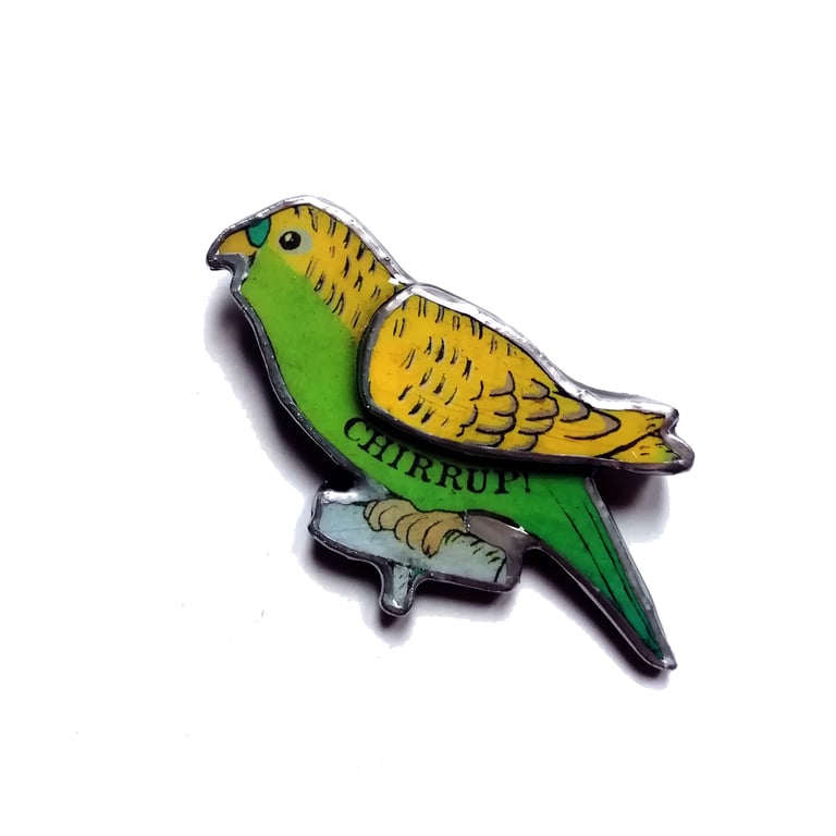 Wonderful Retro Green & Yellow Budgie Brooch by EllyMental
