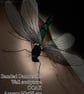 Banded Damoiselle