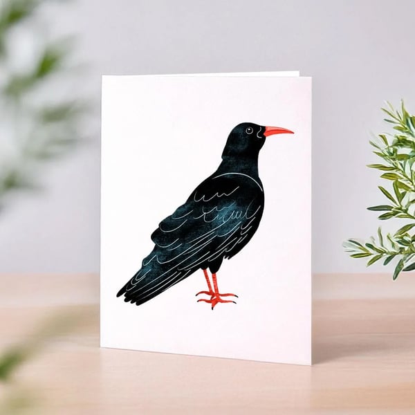 Cornish Chough Greeting Card - Cornwall Cards