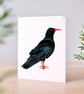 Cornish Chough Greeting Card - Cornwall Cards - Image 1