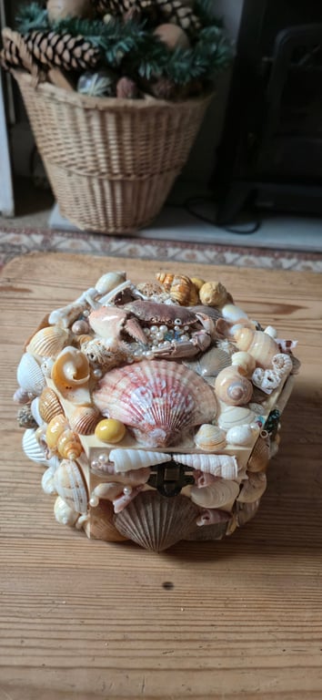 Amazing hexagonal shell covered box