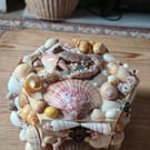 Amazing hexagonal shell covered box