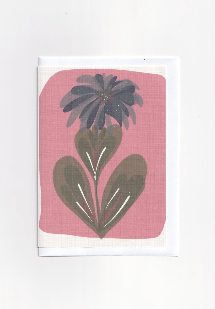 Pink Chrysanthemum Greetings Card 