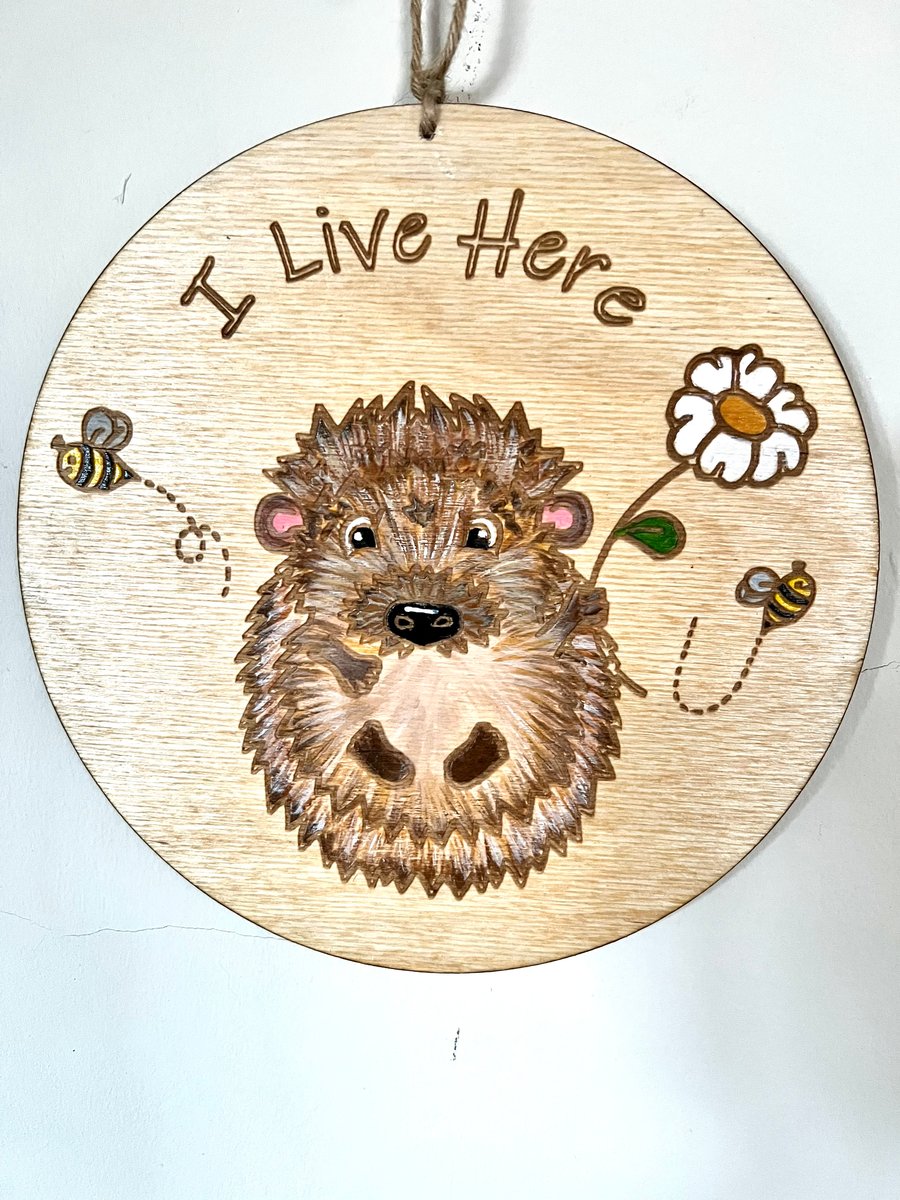 Cute hedgehog wooden sign, original art and hand painted 