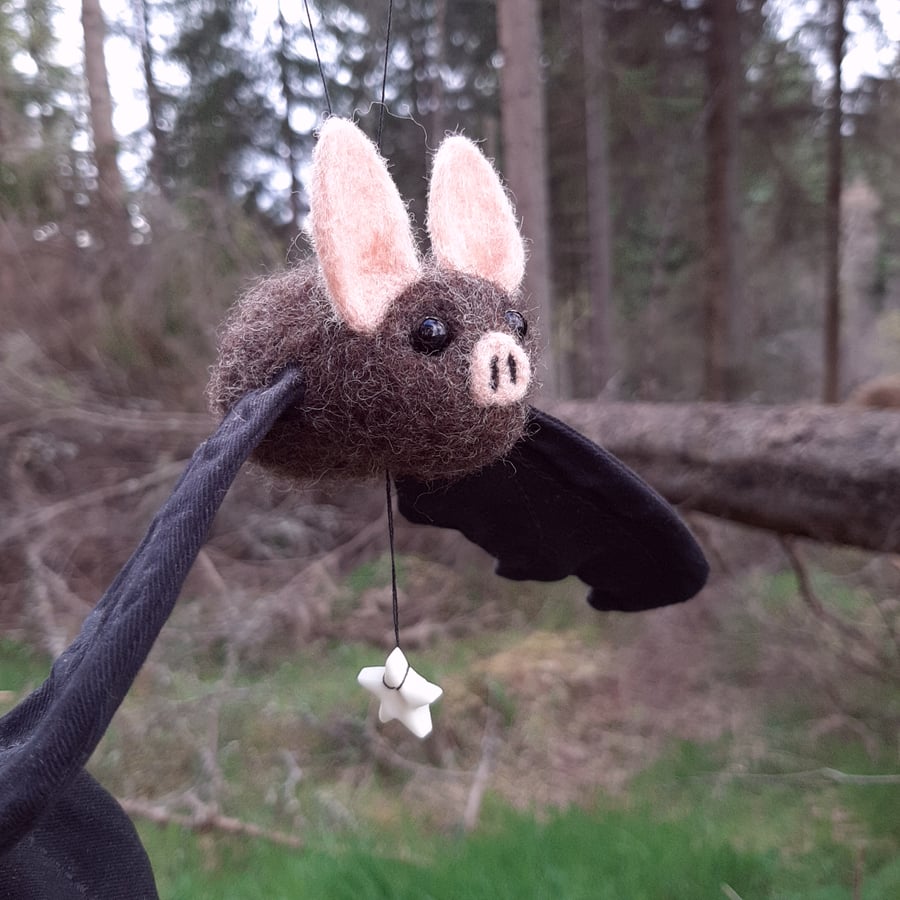 Hanging Bat