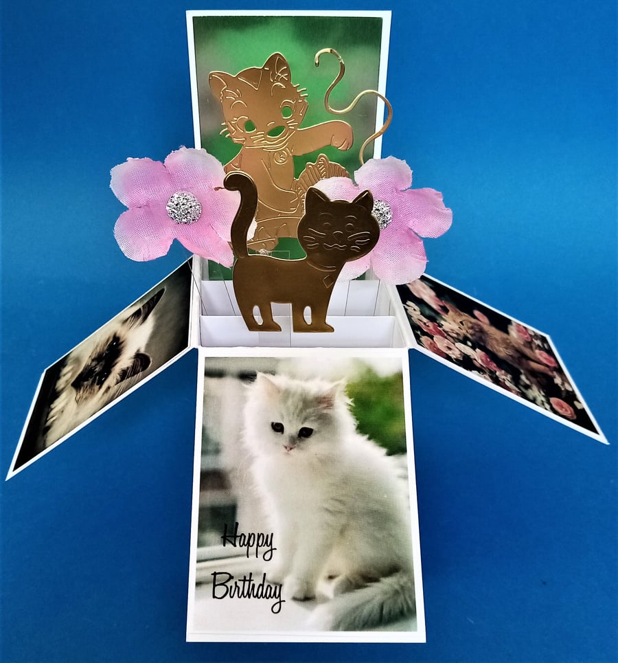 Birthday Card with Cats